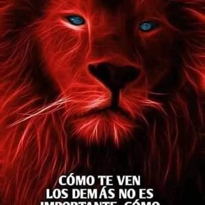 Meet your Posher, Jorge